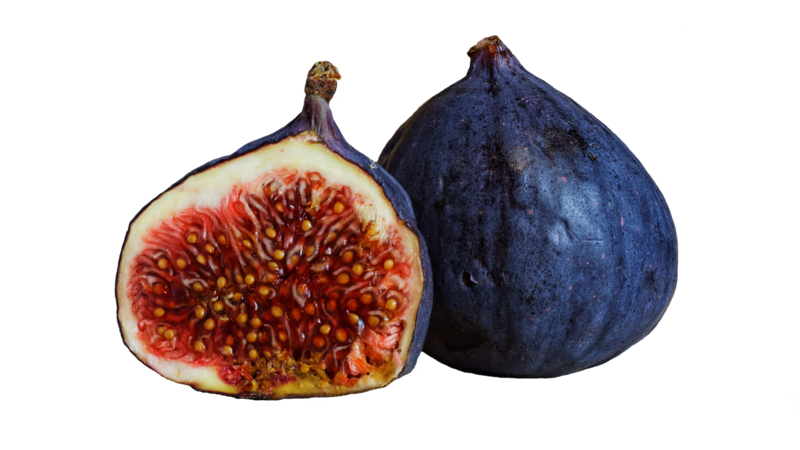 figs-g24b7fa089_1280.png